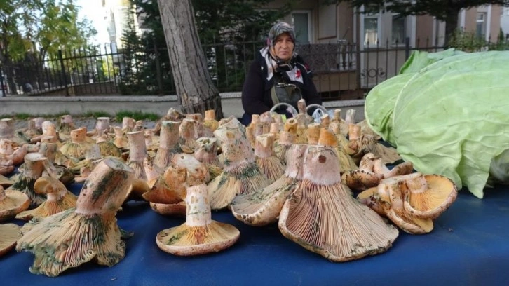 Kütahya'da 'Melki' bereketi