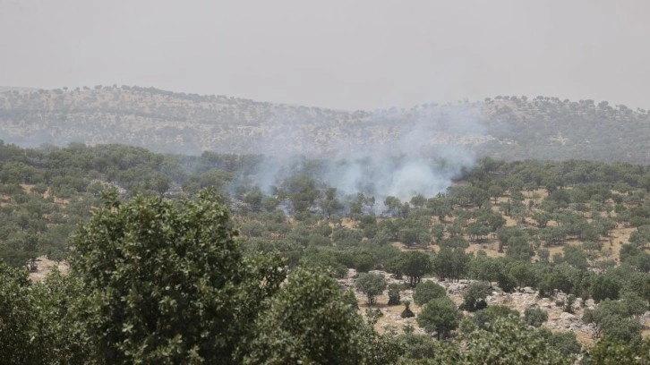Mardin'de orman yangını: Kontrol altına alındı