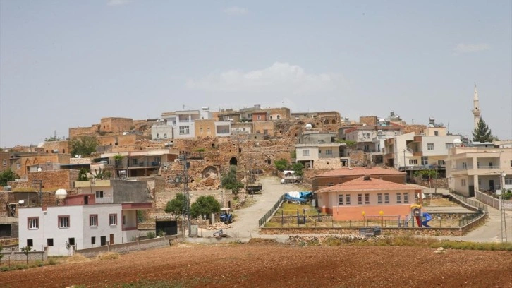 Mehmet Şimşek'in k&ouml;y&uuml;nde b&uuml;y&uuml;k sevin&ccedil;