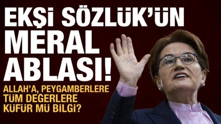 Meral Akşener, Ekşi S&ouml;zl&uuml;k'e sahip &ccedil;ıktı