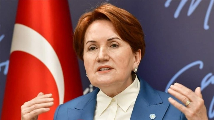 Meral Akşener 'PKK bizim &ccedil;ocuğumuz' diyen Erol Katırcıoğlu'nu sevindirdi