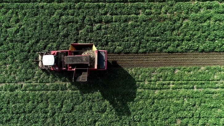 Mezra ziraat 2025 yılında 22 bin 500 dekara ulaştı!