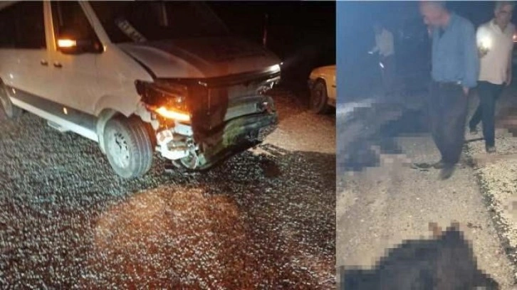 Minib&uuml;s s&uuml;r&uuml;ye &ccedil;arptı: 40 koyun telef oldu