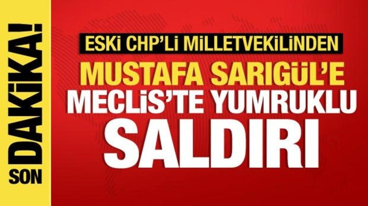 Mustafa Sarıg&uuml;l'e Meclis'te yumruklu saldırı