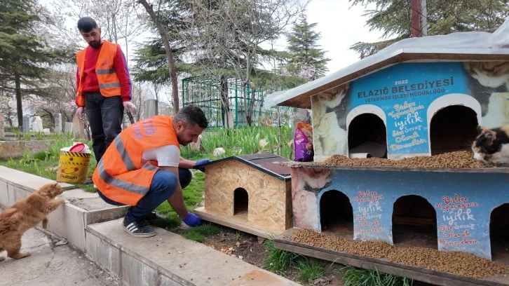 ELAZIĞ BELEDİYESİ'NDEN SOKAK HAYVANLARI İ&Ccedil;İN MAMA VE SU DESTEĞİ