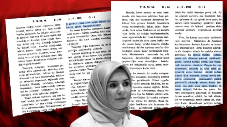 Nafakayla ilgili TBMM arşivinden &ccedil;ıkan tarihi kayıt: Eğer s&uuml;resiz olursa...