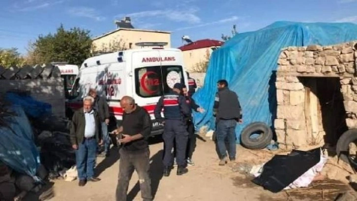 Niğde'de ahır &ccedil;&ouml;kt&uuml;: 1 &ouml;l&uuml; , 1 yaralı