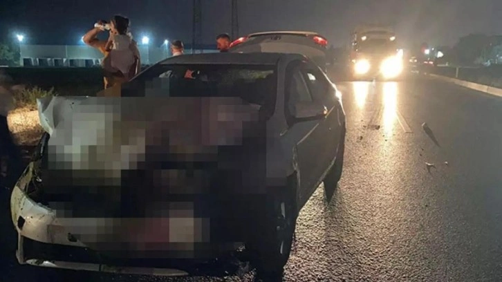 Otomobil s&uuml;r&uuml;ye &ccedil;arptı: 100 koyun telef oldu