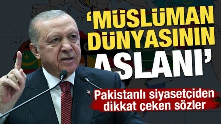 Pakistanlı siyasetçiden dikkat çeken sözler: Erdoğan Müslüman dünyasının aslanı