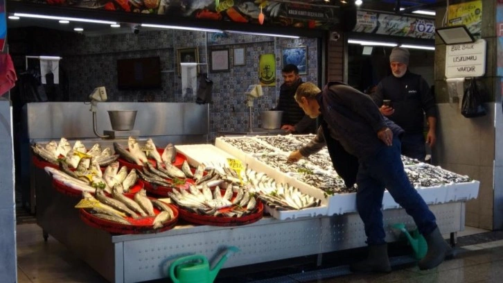 Palamut sezonu başlamadan bitti!