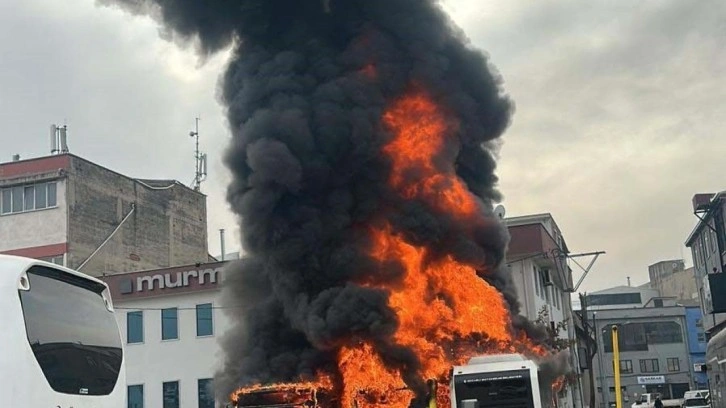 Park halindeki otobüsler cayır cayır yandı