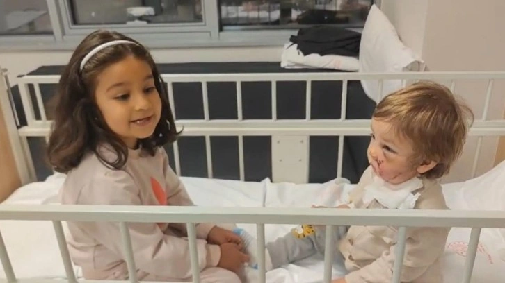 Pitbull dehşetinde akılalmaz savunma: Koruma içgüdüsüyle saldırdı!