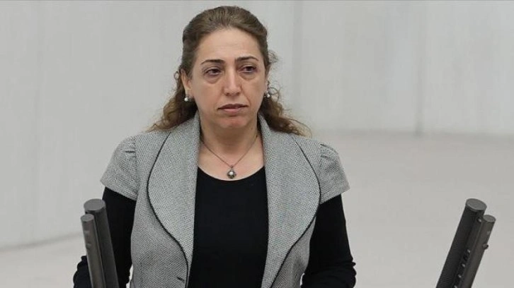 Polise yumruk atan DBP'li Aydeniz'in su&ccedil; dosyası kabarık!