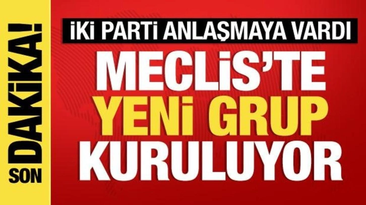 Saadet ve Gelecek Partisi grup kurmak i&ccedil;in anlaştı