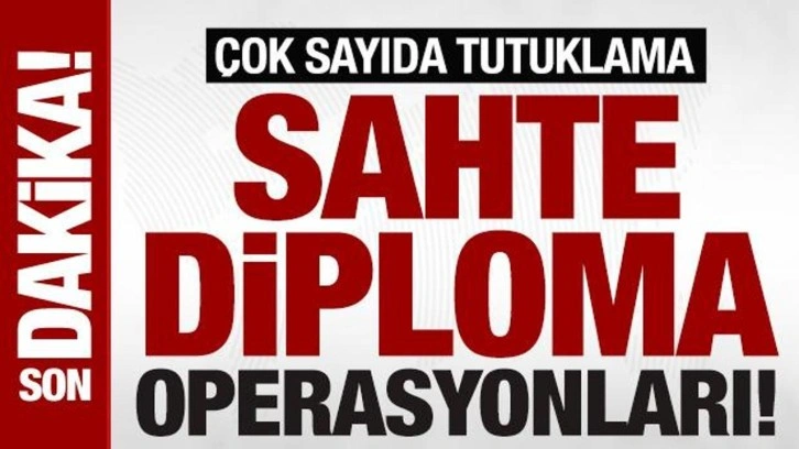 Sahte diploma ve ehliyet çetesine darbe: 197 gözaltı, 37 tutuklama
