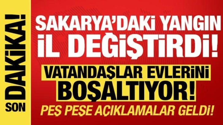 Sakarya'daki yangın Bilecik'e sıçradı! Müdahale sürüyor