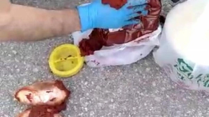 Sal&ccedil;a bidonunda yakalandı