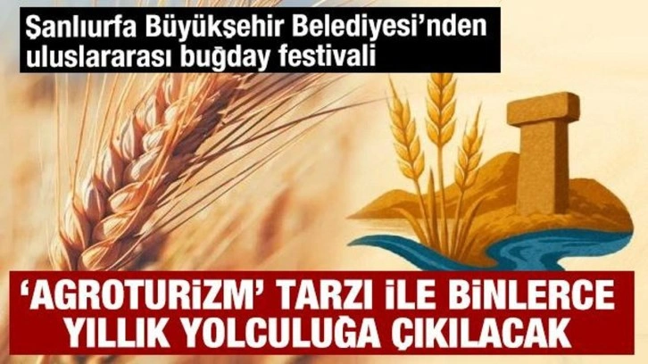 Şanlıurfa Büyükşehir Belediyesi’nden uluslararası buğday festivali