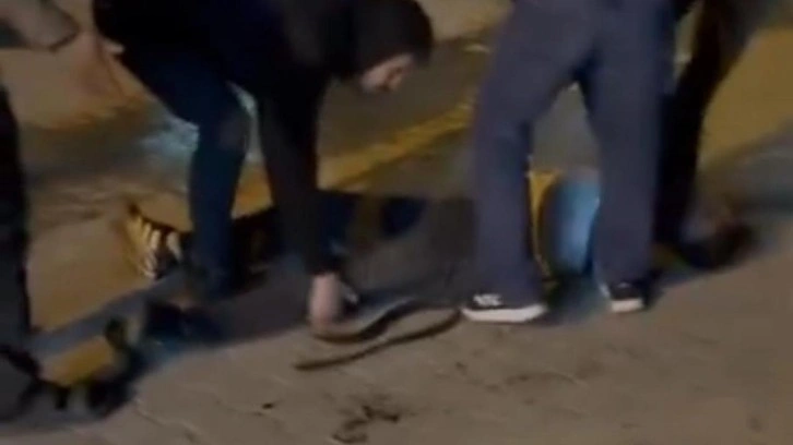 Şanlıurfa'da bıçaklı kavga: 3 yaralı