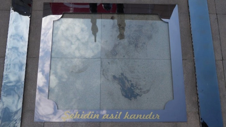 Şehit Ömer Halisdemir'in kanı korumaya alındı!