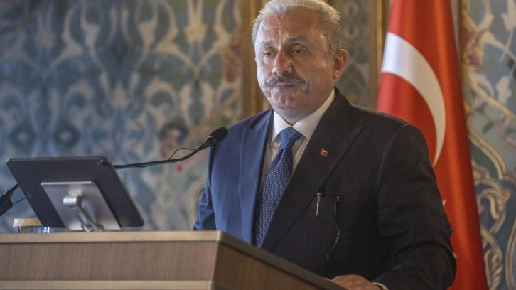 Şentop: Dışarıdan yapılan manip&uuml;lasyon girişimleri nafile &ccedil;abalardır