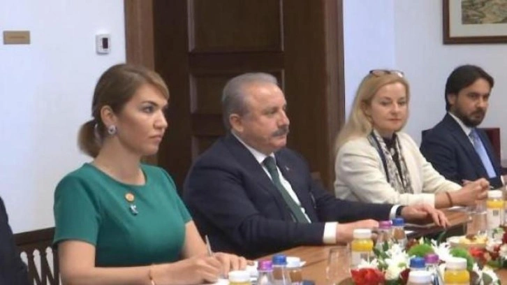 Şentop, Macaristan Başbakanı Orban ile g&ouml;r&uuml;şt&uuml;