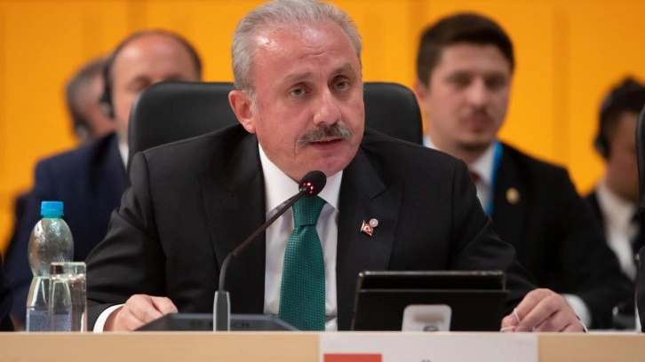 Şentop'tan haddini aşan Rum temsilciye ders gibi cevap