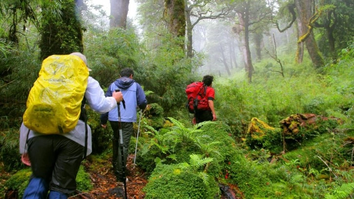 Şili'de doğa yürüyüşü yapan 5 turist fırtınada öldü, 7 kişi aranıyor!