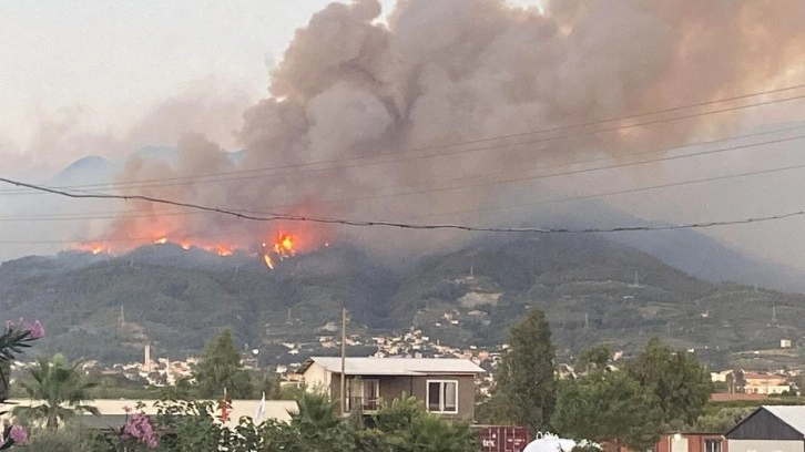 Son Dakika: Hatay Dörtyol'da orman yangını çıktı!