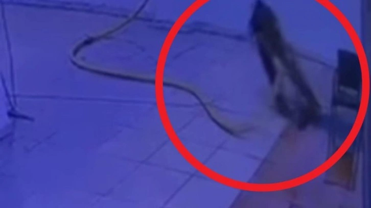 Su tahliyesi sırasında akıma kapılan kapıcının ölüm anı kamerada