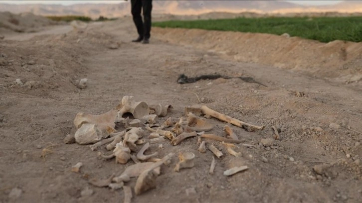 Suriye'de kan donduran manzara! İç savaşın korkunç yüzü görüntülendi