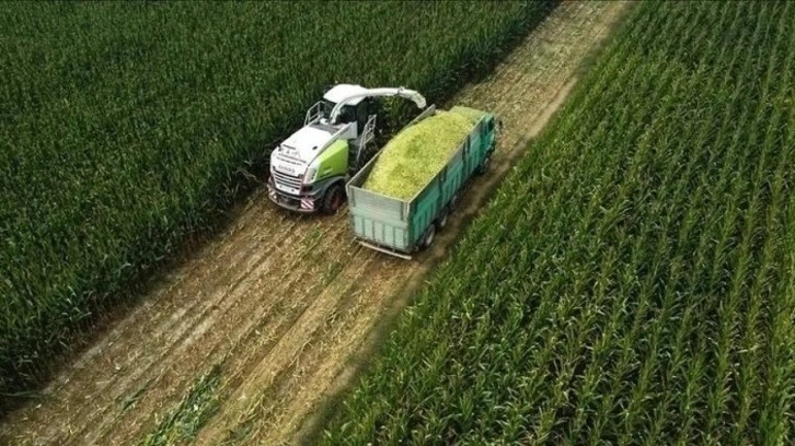 Tarıma yönelik hazine destekli finansmana ilişkin limitler düzenlendi