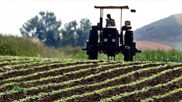 Tarımsal girdi fiyat endeksi haziranda arttı