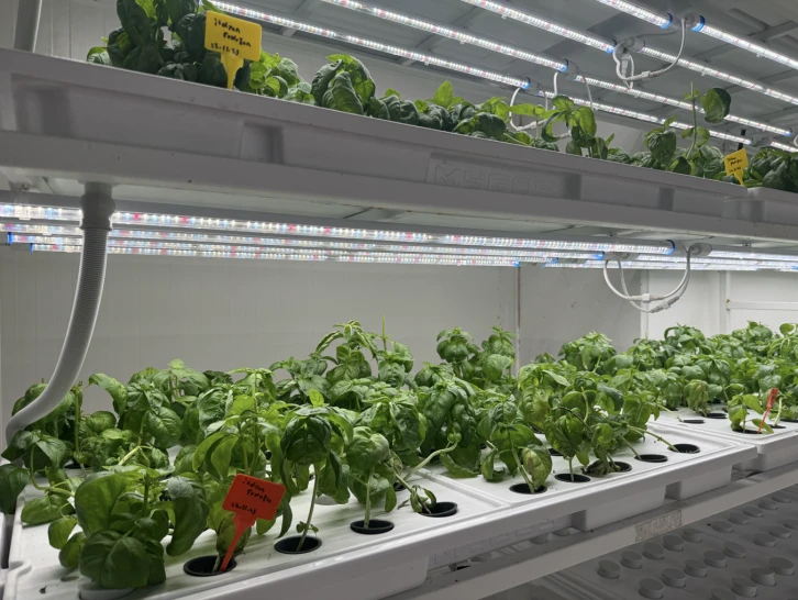 VKV Ko&ccedil; Ortaokulu &Ouml;ğrencilerinden: Isınan D&uuml;nyada Gıda G&uuml;venliği &Uuml;zerine Bir Araştırma Yaptı