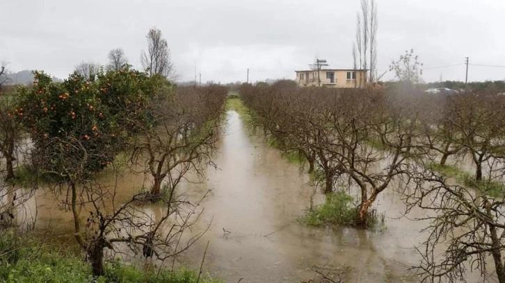 TARSİM’den çiftçilere 2,5 milyar liralık kuraklık tazminatı