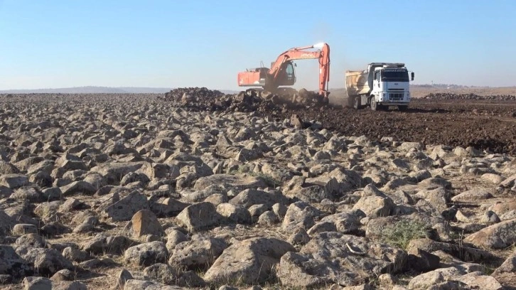 Taş gibi g&ouml;r&uuml;nen yerden servet &ccedil;ıktı: Ekonomiye 350 milyon lira akacak!