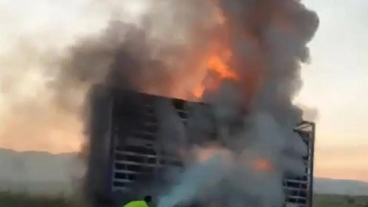 Tavuk y&uuml;kl&uuml; dorse yandı: 1500 tavuk telef oldu