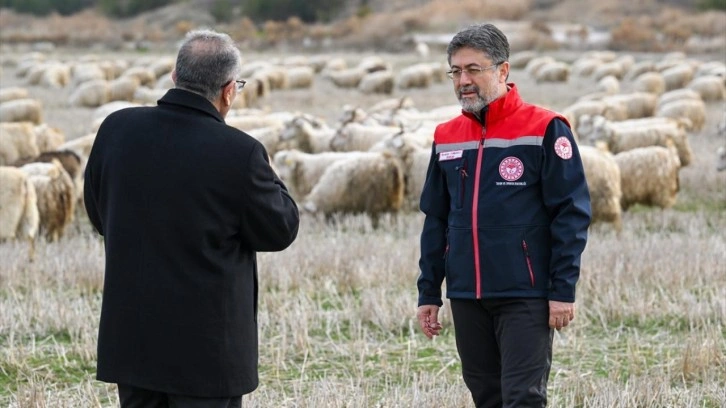 Tiftik için yeni dönem: Özel destek geliyor