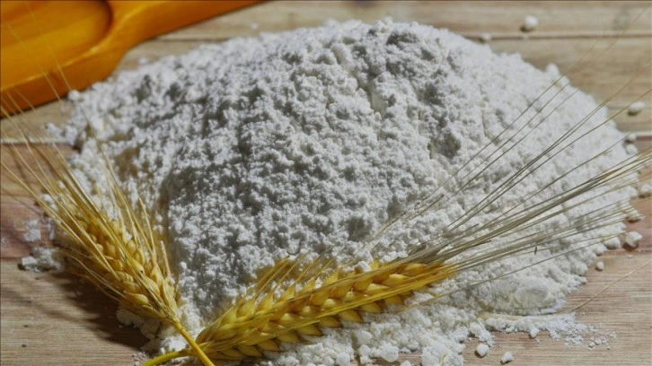 TİGEM 2 bin ton buğday satacak