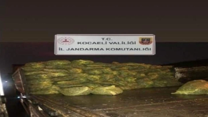 TIR'da 10 ton ka&ccedil;ak midye ele ge&ccedil;irildi