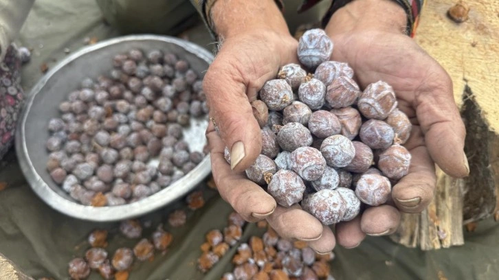 Torosların zirvesinden gelen mucize! Kilosu 500 lira: Yok satıyor