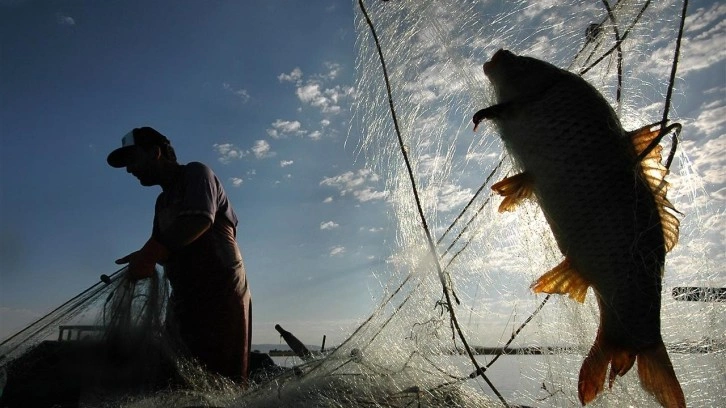 Türkiye'nin denizleri alarm veriyor! Balık türleri azalıyor