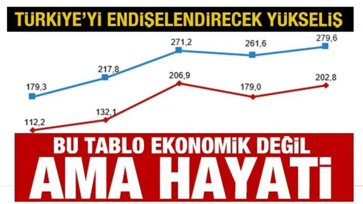 Türkiye'yi korkutan yükseliş! Bu tablo ekonomik değil ama 'hayati'