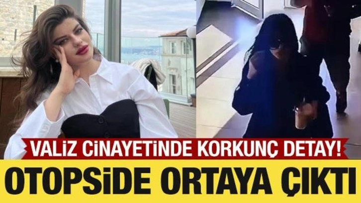 Valiz cinayetinde korkunç detaylar: Ayşe'yi döverek öldürmüş!