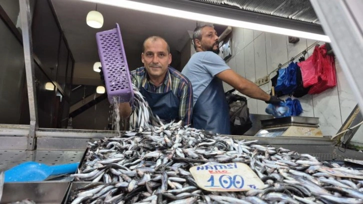 Yaz sıcakları palamudu vurdu, yerini hamsi aldı