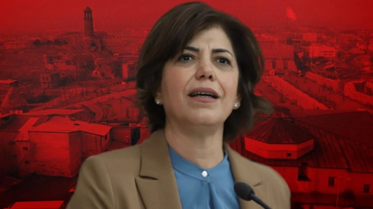 YSP&rsquo;li Beştaş vekil olduğu şehire Fransız! Yine gaf yaptı