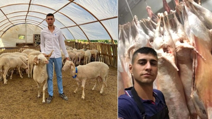Yüksek kar vaadiyle hayvan topladı! 80 milyon liralık vurgun