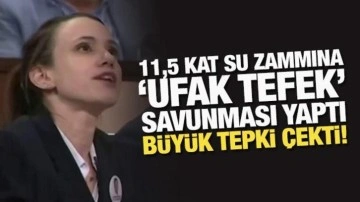 11,5 kat su zammına "ufak tefek" savunması yaptı, büyük tepki çekti!