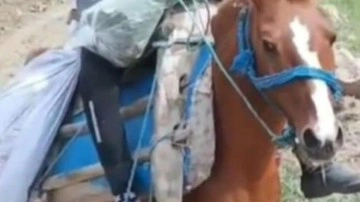 14 yaşındaki çocuğun acı ölümü: Av tüfeğiyle oynuyordu!