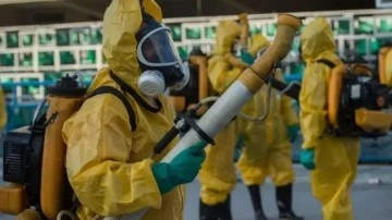 16 ülkede korkunç virüs yayılıyor: 240 binden fazla vakada 90 kişi öldü